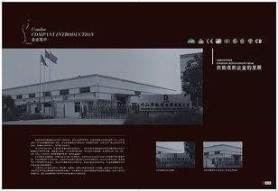 力胜品牌设计 以创意赋能企业价值